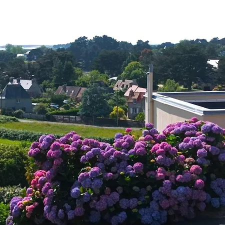 Avec Terrasse A 400m De La A - Fr-1-368-400